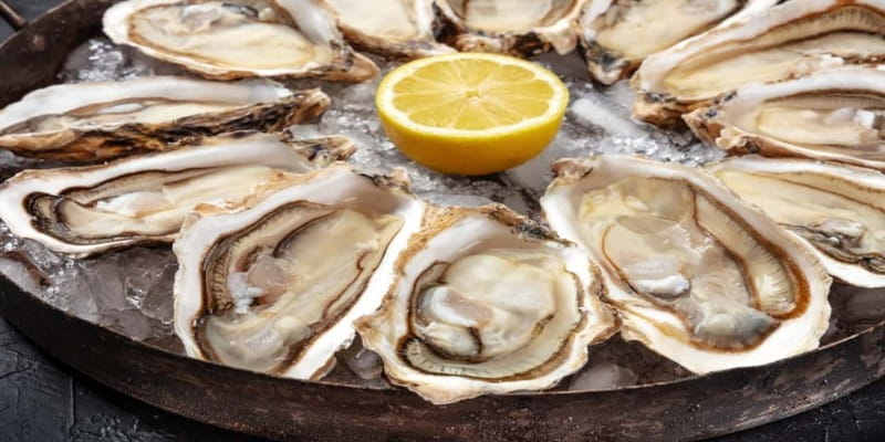 Halifax Harbourfront Food Walking Tour - Five Halifax tastes in one waterfront route