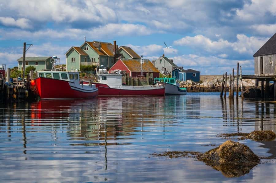 Halifax Small-Group Express Peggy’s Cove Tour - Practical advice for a better visit