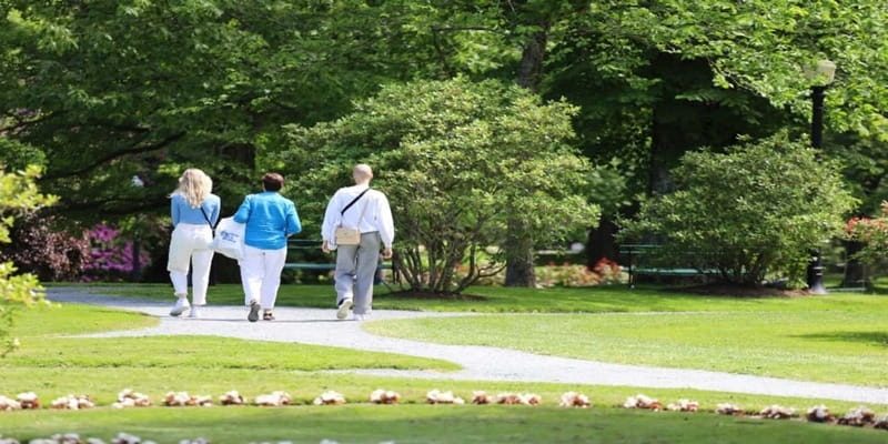 Halifax: Small Group Walking Tour with Citadel & Museum - Camp Hill Cemetery and Canada’s oldest urban park