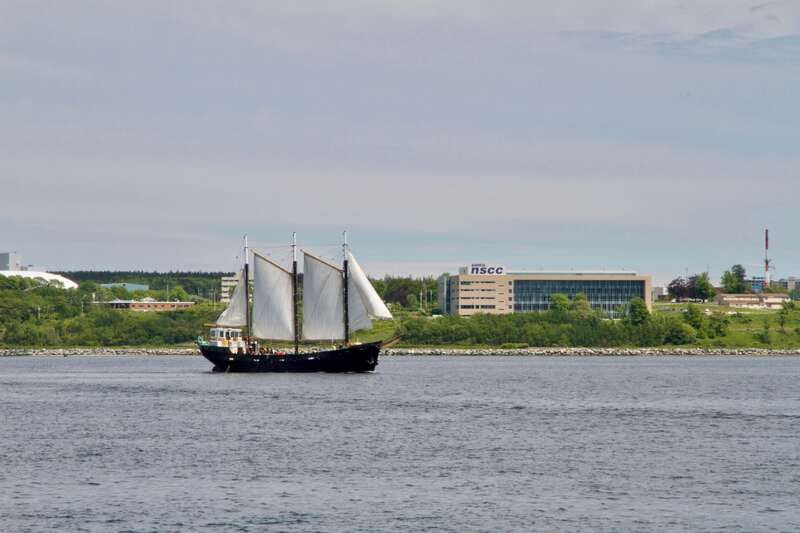 Halifax: Tall Ship Harbor Sailing Cruise with Live Music - What you can see from the water