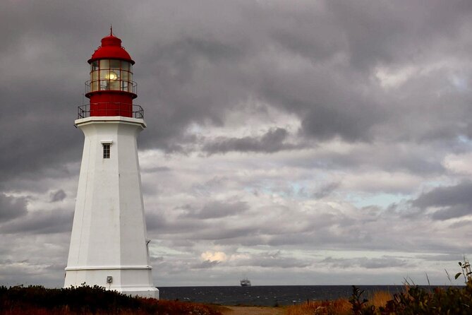 Harbor Highlights: Sydney City Tour - Key points to know before booking
