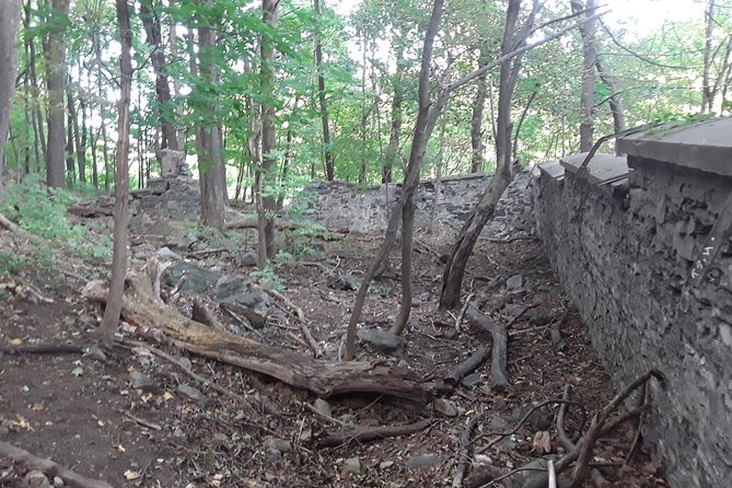 Haunted Mountain - Starting at Fletcher’s Field after dark