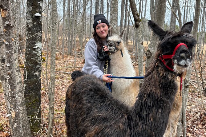 Hike & Lunch with Llamas - Meeting the birds before the llama walk