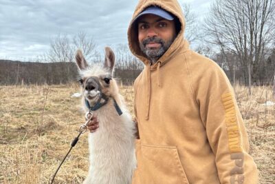 Hike & Lunch with Llamas