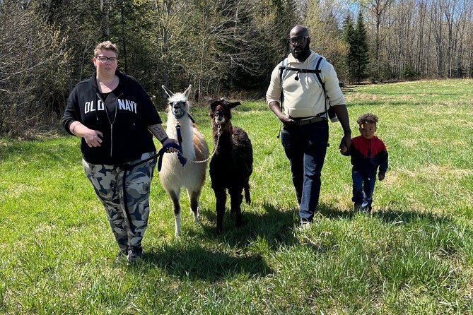Hike & Lunch with Llamas - Practical planning for your farm visit