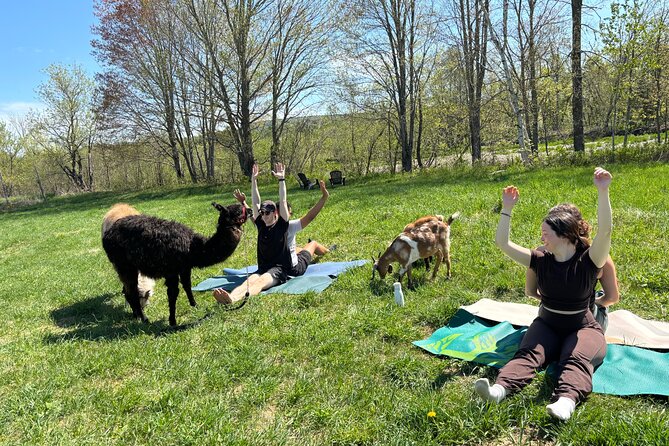 Hike & Lunch with Llamas - Who will enjoy this most?