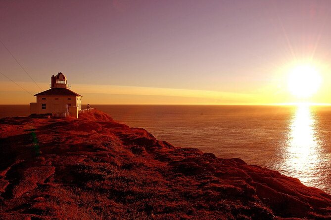 Historic St. John's Newfoundland and Cape Spear Tour - Key points to know before booking