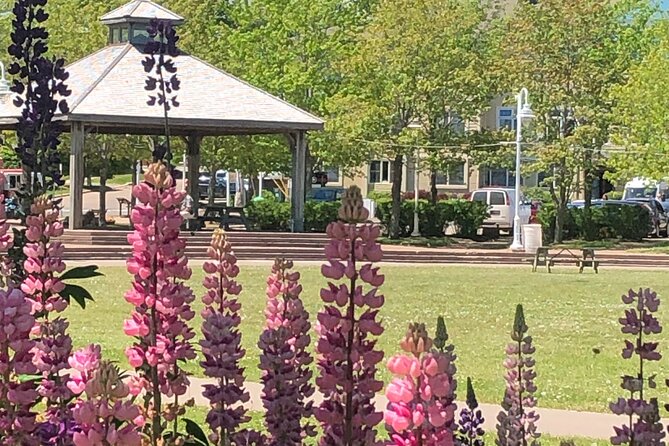Historic Walking Tour of Charlottetown - Key details at a glance