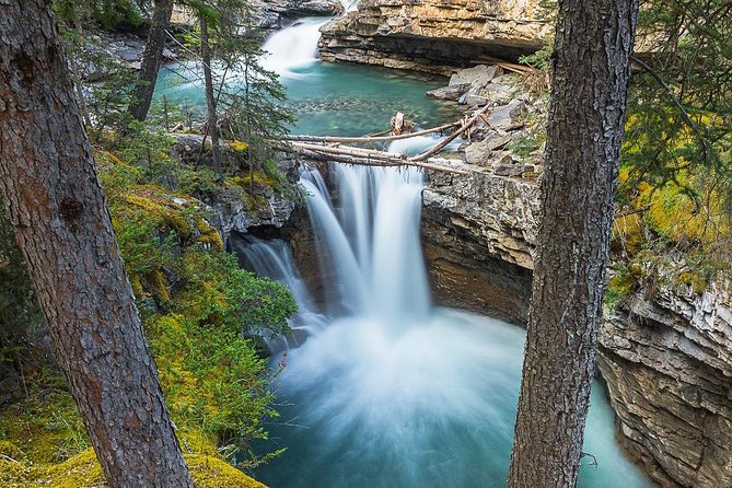 Hop-On and Hop-Off Banff Bus - The Lake Louise gondola adds a different kind of view