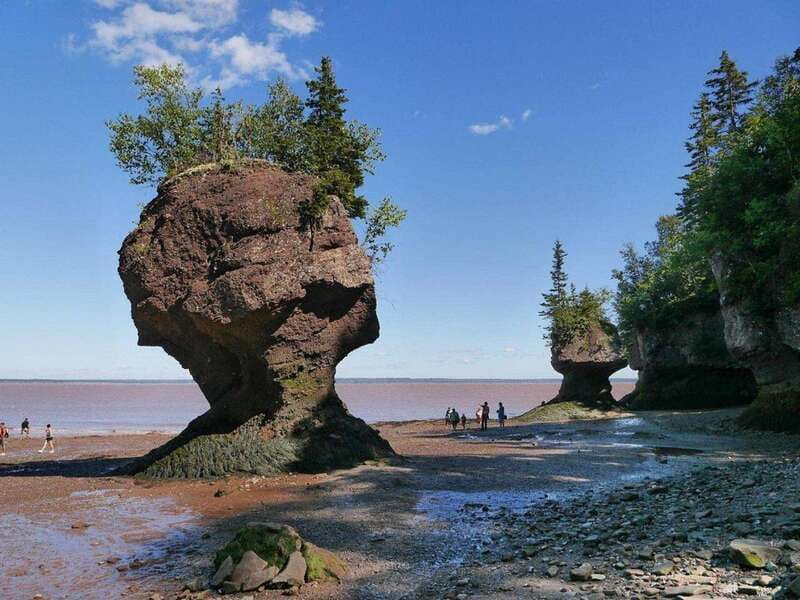 Hopewell Cape: Hopewell Rocks Admission - Why Hopewell Rocks Changes by the Hour