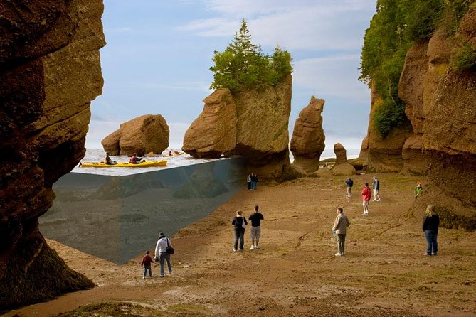 Hopewell Rocks Admission - Why the tide is the real attraction
