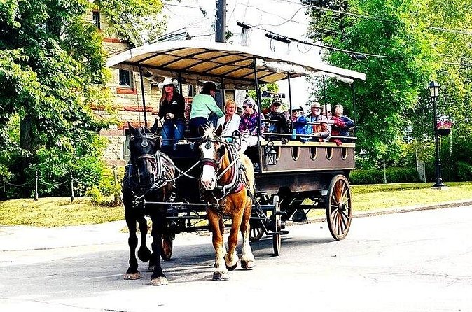 Horse Drawn Historical Guided Tour - St. Dunstan’s Basilica and the city’s religious character
