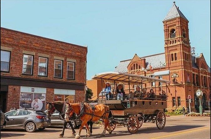 Horse Drawn Historical Guided Tour - The guides, the horses, and the tone of the ride