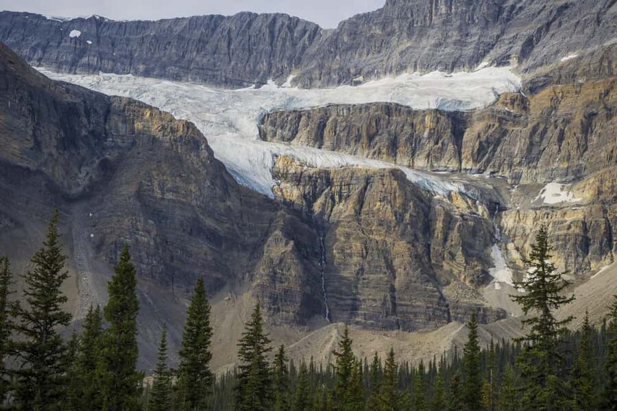 Icefield: Bow Lake, Columbia Icefield, Peyto Lake Day Tour - Peyto Lake: the famous turquoise viewpoint