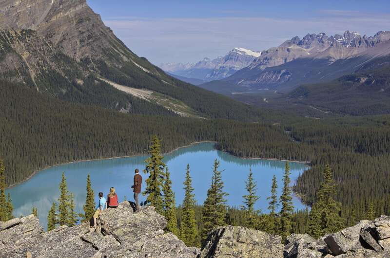Icefield: Icefield Parkway, Bow Lakes & Peyto Lakes Day Tour - Key points to know before you book
