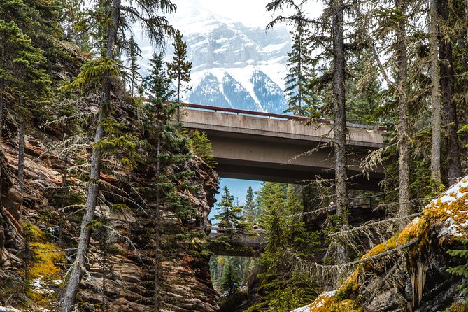 Icefields Parkway: a Smartphone Audio Driving Tour - Peyto Lake and the best photo stops