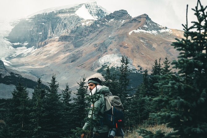 Icefields Parkway Highlights & Secrets | Award-Winning Adventure - Is $217.05 a fair price?
