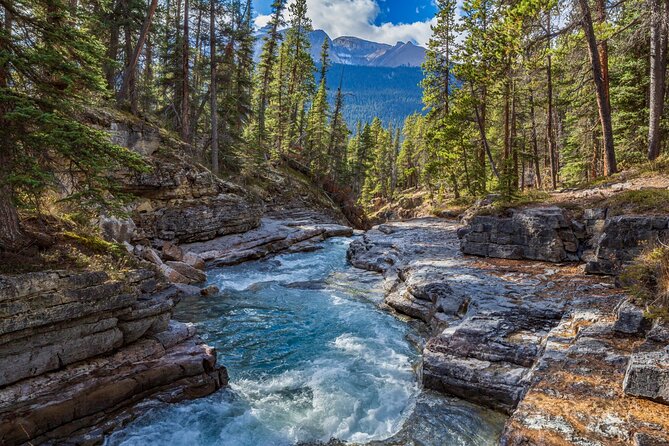 Icefields Parkway Self-Guided Driving Audio Tour - Three glacier hikes worth planning around