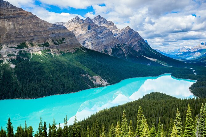 Icefields Parkway Self-Guided Driving Audio Tour - Price, app setup, and who gets the best value