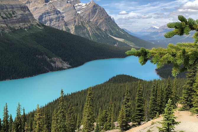 Icefields Pkwy: Lake Louise | Bow | Peyto|Glacier - PRIVATE TOUR - Mistaya Canyon adds variety to the day