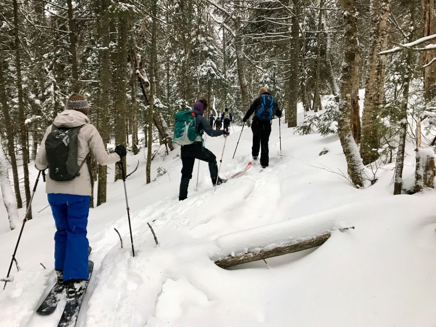 Jacques-Cartier National Park: Skiing Excursion - Following quiet trails through Jacques-Cartier National Park