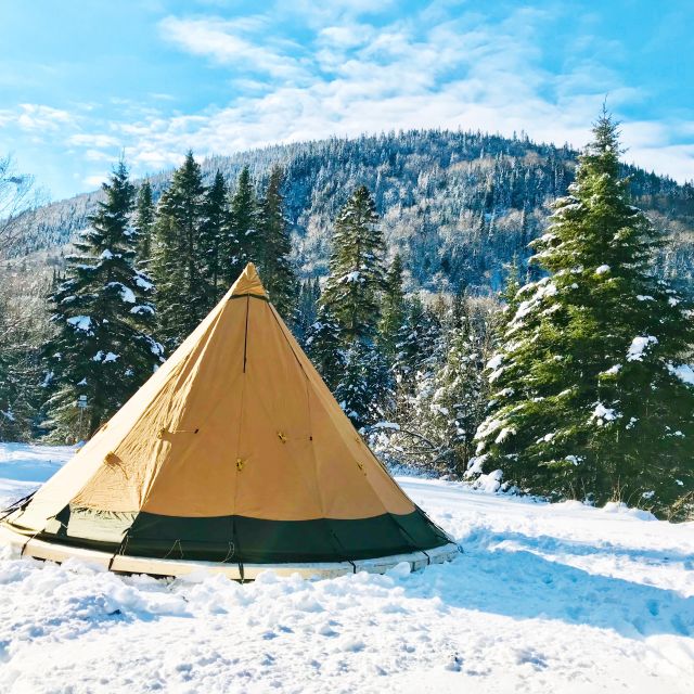Jacques-Cartier National Park: Skiing Excursion - Who will enjoy this winter outing most