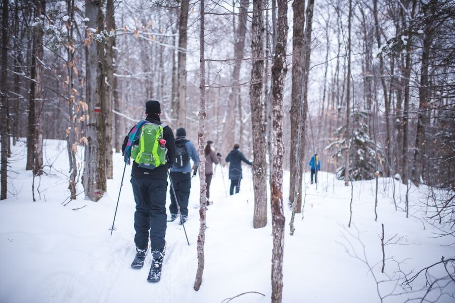 Jacques-Cartier National Park: Skiing Excursion - Leaving Quebec City at 9 am