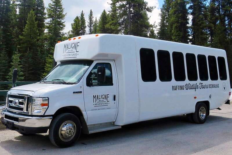 Jasper National Park: Evening or Morning Wildlife Watch Tour - Is the $63 price good value?