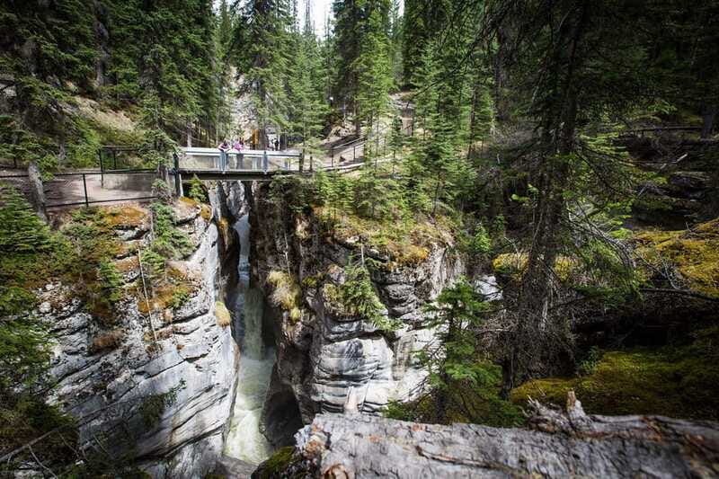 Jasper: Sightseeing Tour with Maligne Lake Cruise - How the $181 price makes sense