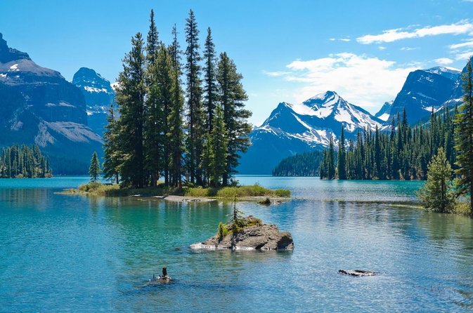 Jasper Wildlife and Sightseeing Tour with Maligne Lake Hike - Why This Six-Hour Maligne Valley Tour Works