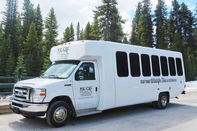 Jasper Wildlife and Sightseeing Tour with Maligne Lake Hike - The Drive Through Moose and Bear Country