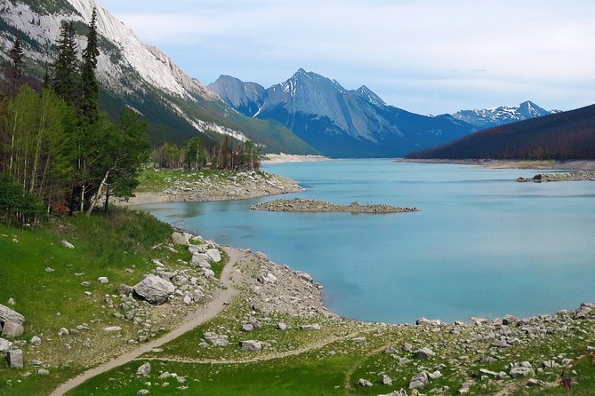 Jasper Wildlife and Sightseeing Tour with Maligne Lake Hike - Lunch, the Café, and the Time You Have