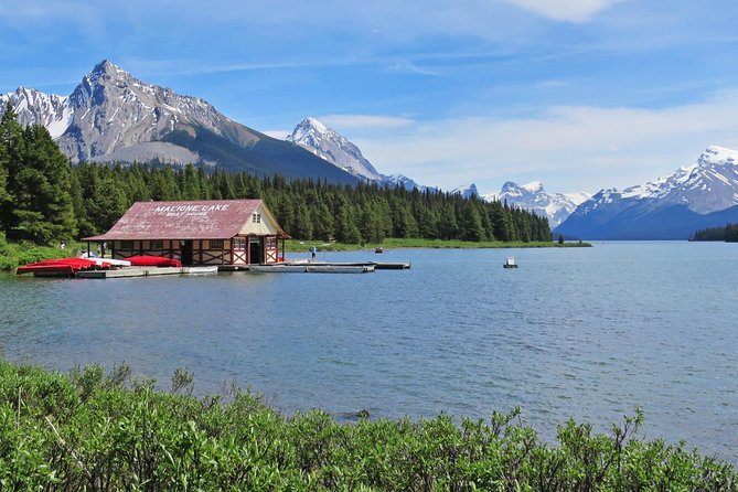 Jasper Wildlife and Sightseeing Tour with Maligne Lake Hike - The Guides Make the Difference