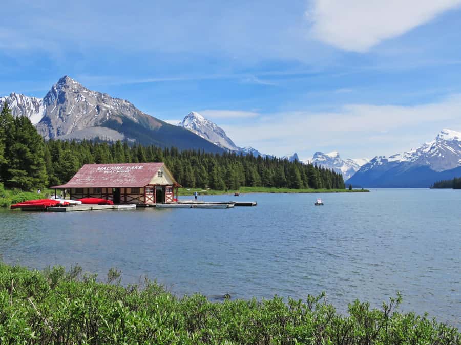Jasper: Wildlife and Waterfalls Tour with Lakeshore Hike - Comfort, weather, and practical limits