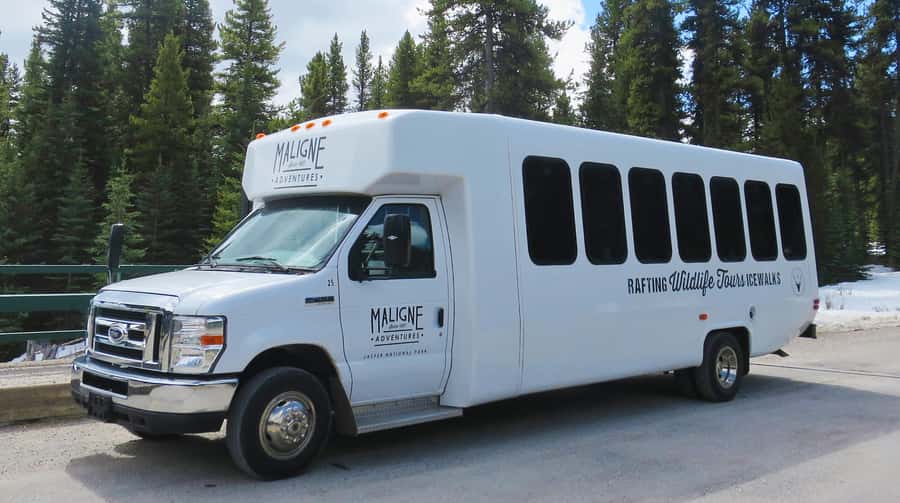 Jasper: Wildlife and Waterfalls Tour with Lakeshore Hike - Maligne Canyon and the changing first stop