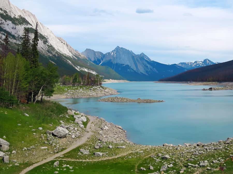Jasper: Wildlife and Waterfalls Tour with Lakeshore Hike - Medicine Lake and its disappearing water
