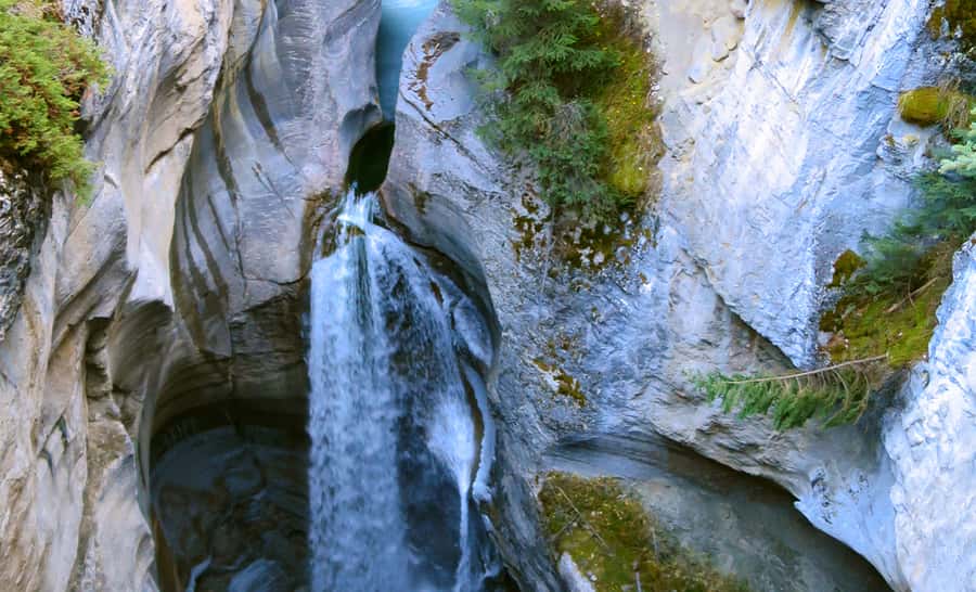 Jasper: Wildlife and Waterfalls Tour with Lakeshore Hike - Starting in Jasper and watching the roadside