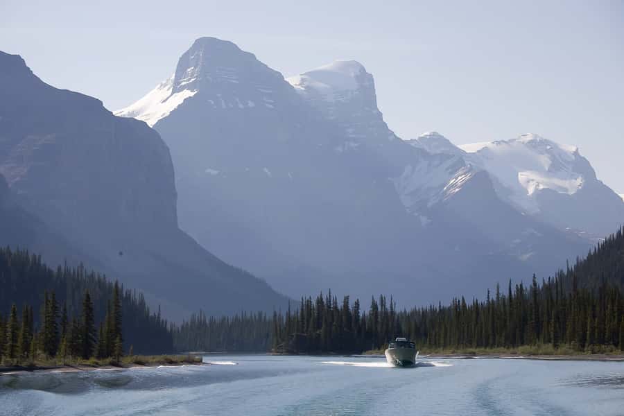 Jasper: Wildlife and Waterfalls Tour with Maligne Cruise - Is $155 a fair price?