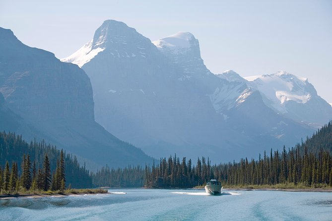 Jasper Wildlife & Sightseeing Tour with Maligne Lake Cruise - Wildlife sightings: what you can realistically expect