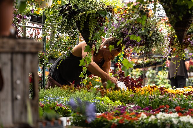 Jean-Talon Market & Little Italy Small Group Walking Tour - Getting there and planning your morning