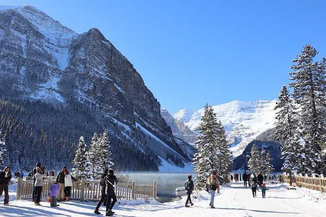 Johnston Canyon, Lake Louise & Banff: Small-Group Day Tour - Banff Avenue: Two Hours for Lunch and Town Time