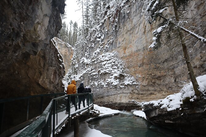 Johnston Canyon, Lake Louise & Banff: Small-Group Day Tour - Surprise Corner and the Fairmont View