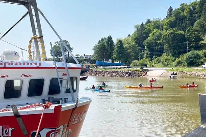 Kayak the Bay of Fundy Sea Caves - Key points before you book