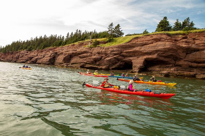 Kayak the Bay of Fundy Sea Caves - Who will enjoy this sea cave paddle