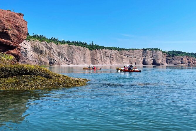 Kayak the Bay of Fundy Sea Caves - Should you book Kayak the Bay of Fundy Sea Caves?