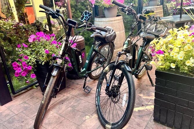 Kelowna E-Bike Bee Tour, Tastings, Organic Lunch & Audio Guide - Lunch at The Bistro at Meadow Vista
