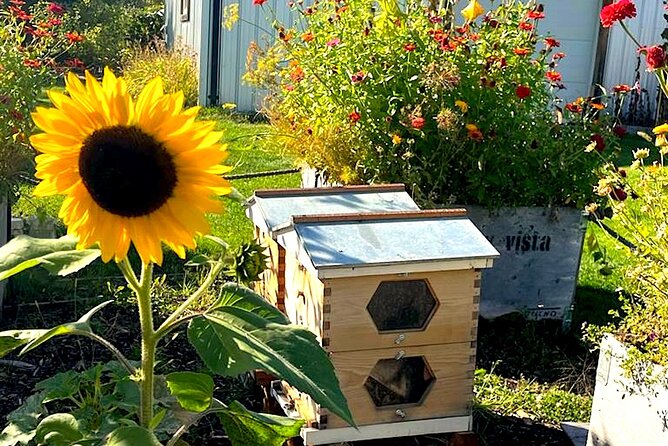 Kelowna E-Bike Bee Tour, Tastings, Organic Lunch & Audio Guide - Is the $98.21 Price Good Value?