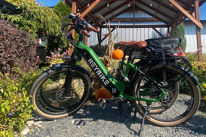 Kelowna E-Bike Bee Tour, Tastings, Organic Lunch & Audio Guide - What to Know Before You Book