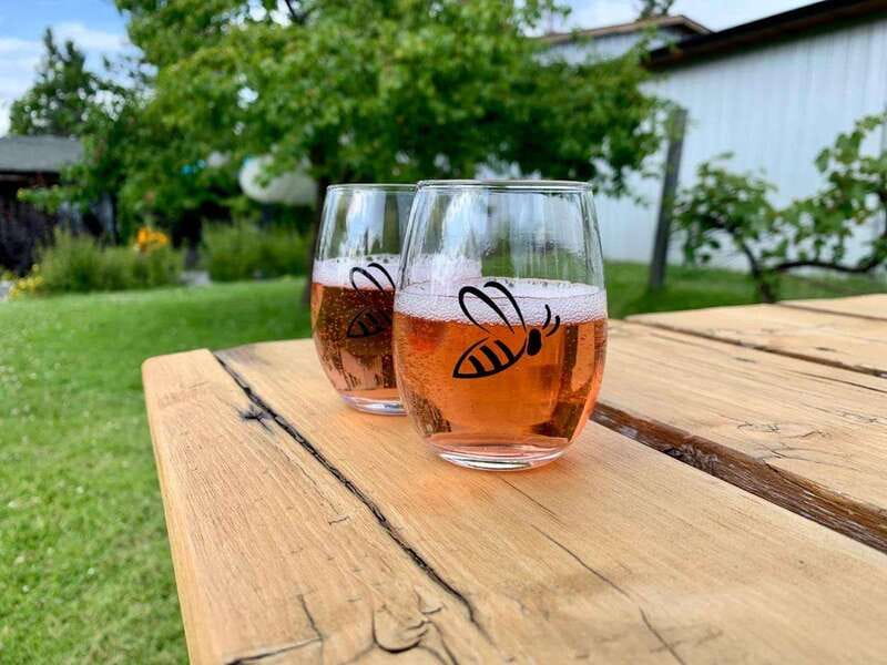 Kelowna: E-Bike Bee Tour w/ Tastings, Lunch, and Audioguide - Who will enjoy this outing most