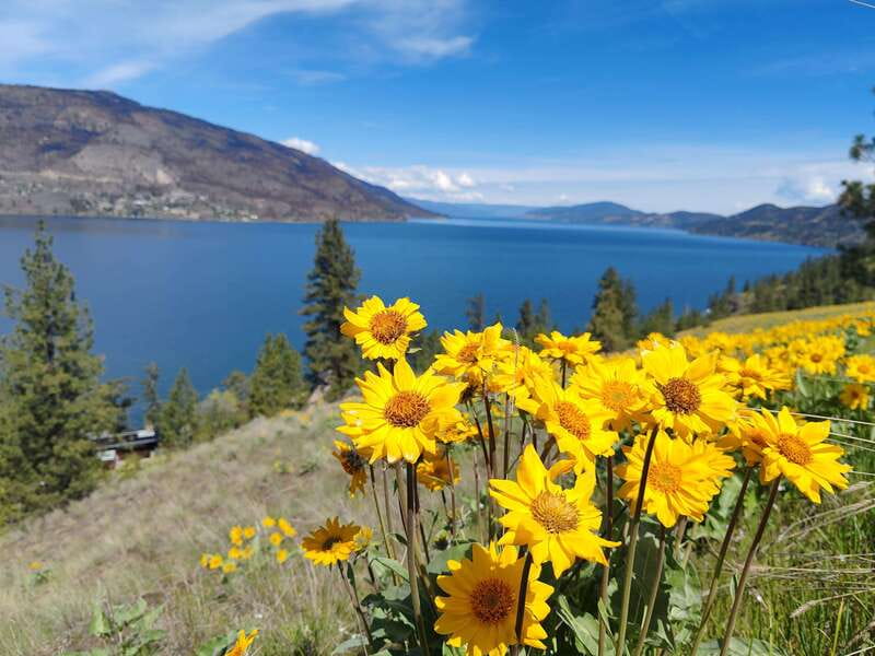 Kelowna: E-Bike Bee Tour w/ Tastings, Lunch, and Audioguide - Craft mead at Meadow Vista Honey Wines